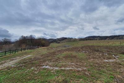 Teren Rasnov spre Predeal pretabil investitie 13 euro/mp - 4