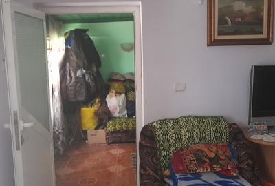 Casa in Finta sat Bechinesti - 16