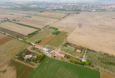 Casă cu teren 13 418 mp intravilan - 23