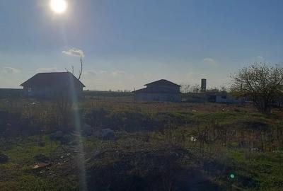 Teren Investiție 4750 mp Limanu - Parcelabil, lângă Mangalia - 4