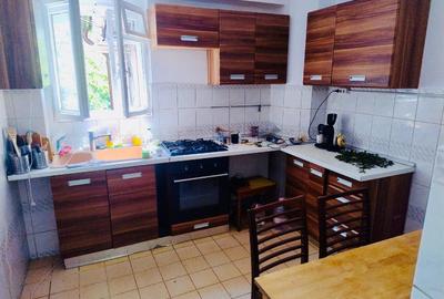 Parter si demisol cu grădină proprie in vila in Domenii – Str. Zorileanu - 8