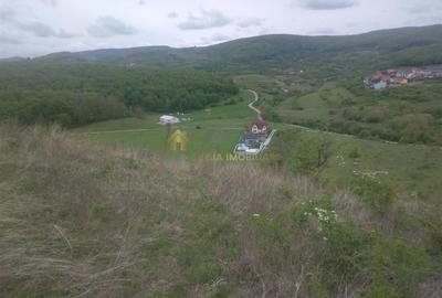 Teren extravilan 3640 mp Strada Stejarului - 2