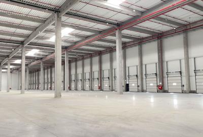 Hala industriala depozitare si productie la 2710 mp - 2