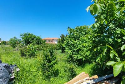 Lot pentru două case – Corbeanca Tamași - 19