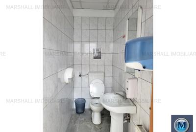 Spatiu industrial de vanzare in Aricestii Rahtivani #16443 - 10