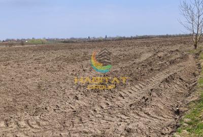 Teren extravilan – 10.000 mp, acces DN4 Frumușani - 3