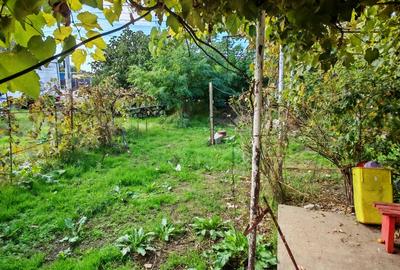 Teren vânzare zona Viile Noi - 14