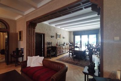 Vila Dorobanti capitale Mauro Florentin - 12