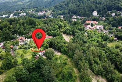 FILM!1.400 mp teren turistic, Sovata: 800m de Lacul Ursu si 300 m de Lacul Negru - 3