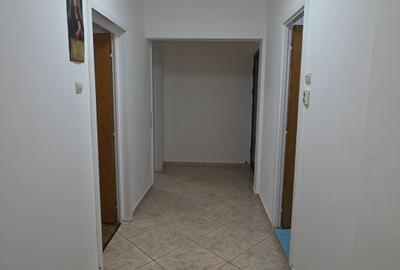 Colentina Rau, Radovanu, semistradal, centrala termica proprie - 10