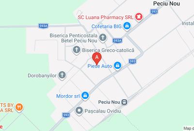 Teren intravilan Peciu Nou 540 mp - 1