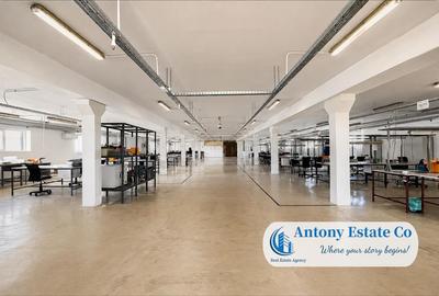Antony Estate | Vanzare Hala - 2019 mp, Borsului - Oradea - 6