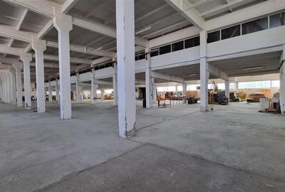 Hala industriala de vanzare in Harlau, 11.500 mp utili, teren 44.268 mp - 2