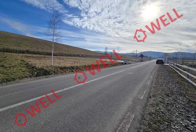 Teren intravilan de vânzare în Barcani! - 3