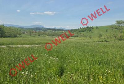 Teren de vânzare în Bărcani, pe strada Bisericii! - 3