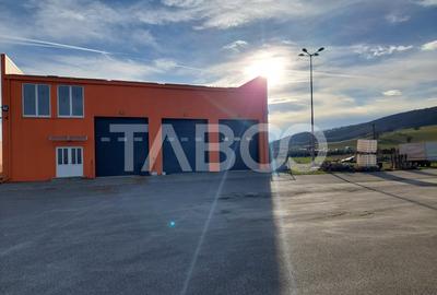 Hala de inchiriat 300 mp parcare 1000 mp acces din DN1 in Bradu Sibiu - 12