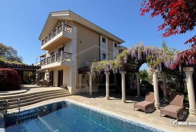 Vila superba in Andrei Muresanu, dotari de lux, piscina si SPA, 865 mp teren ! - 32