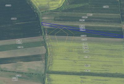 COMISION 0% Terenuri agricole 10.750mp si 700mp| Recas - 1