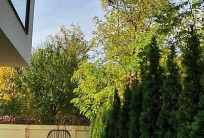Cea mai frumoasa vila in zona de Nord - Jandarmeriei - Sisesti, Bucuresti - 5