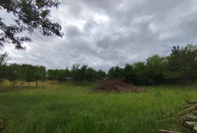 Teren intravilan de 1.900 mp, zona Oarda de Sus - 2