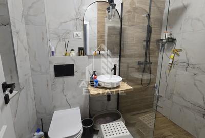 Casa individuala de vanzare, 5 camere si 2 bai, Sag - 22