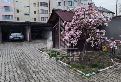 Casa individuala de vanzare, cu 4 camere si 2 garaje, zona Lipovei - 4