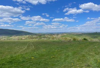 Teren intravilan de 6301 mp, în Bălnaca