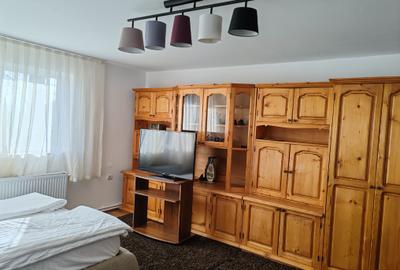 Casa 7 camere libera la vanzare SATU NOU - 2