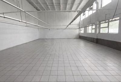 HALA PRODUCTIE/DEPOZITARE/BARIERA BUCURESTI - 7