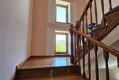 TEREN INTRAVILAN DEVANZARE 33161 MP DE VANZARE TARGU OCNA - 28