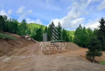 Oportunitate! Domeniu montan, cu lac propriu, oras Lupeni, Hunedoara - 20