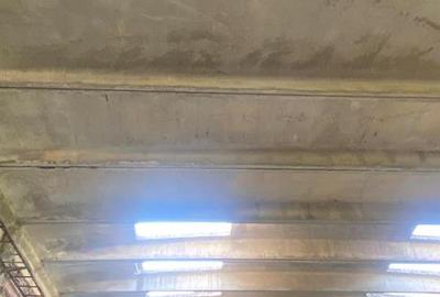CLADIRE INDUSTRIALA 3500 mp  SI TEREN 10.000 MP DE VANZARE CASIN - 11