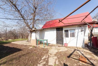 Casa parter + 3.055 mp teren in Costesti - 13