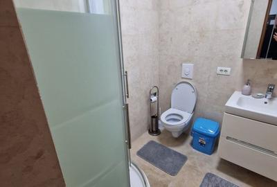 De vanzare vila de lux, Sos. Giurgiului/Jilava/A0 - 18