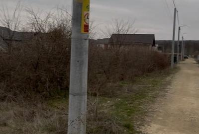 📍 Teren intravilan Premium – 538 mp | Aleea Bradului 59, Smeura – Moșoaia - 10