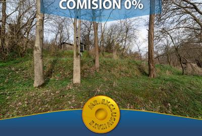 Teren Construcții intravilan de 1221 mp, în Budeasa Mică