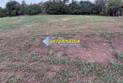 Teren intravilan de vanzare 2000 mp in Sard - 4