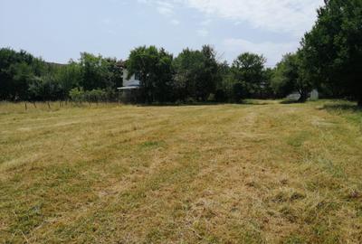 Teren Tismana - sat Gornovita - 1