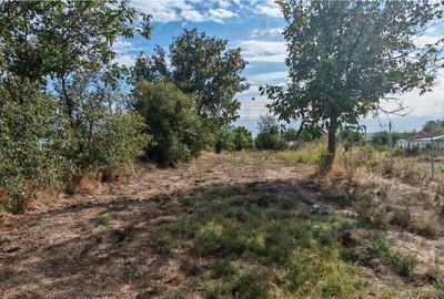 Ferma 3,3ha, din care 2,5ha intravilan, vila 7 camere, D+P+E+M, casa pentru munc - 10