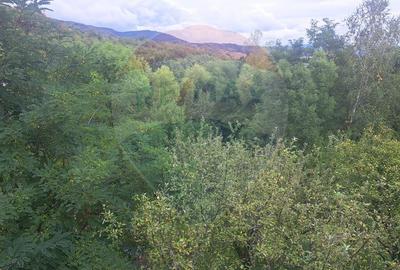 Casă vacanta 2007 Izvoarele Valenii de Munte teren 3000 mp - 12