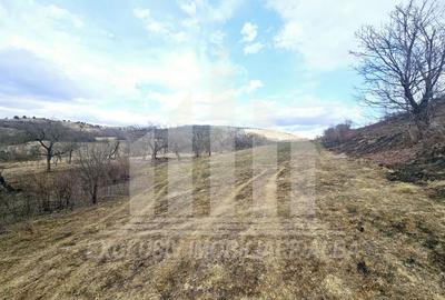 Teren Construcții intravilan de 12211 mp, în Geoagiu de Sus