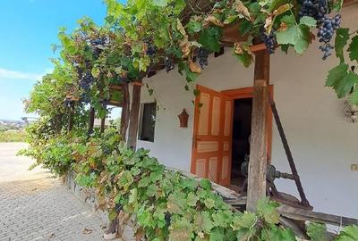 Proprietate istorică , crama +vie DOC + distilerie +loc. evenimente+ 20000 vin - 10