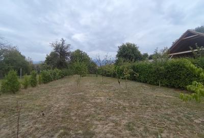 Casa individuala pe un singur nivel in Sibiu localitatea Cartisoara - 14