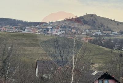 Teren intravilan 2307 mp în Salicea, zona premium, aproape de Cluj - 6