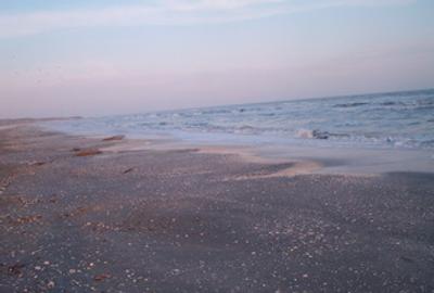 Teren cu vedere la mare ! - 2