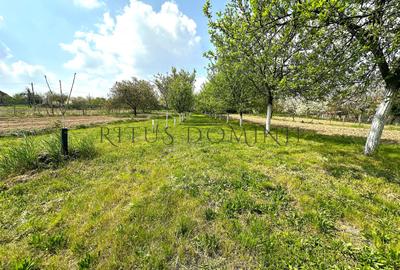 Teren Intravilan de Vânzare, Cetariu, 5450mp - 2
