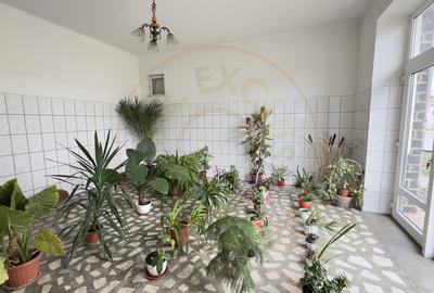 Casa 7 camere cu Teren 4.620 mp | Potential pentru rezidenta sau afacere | Carei - 18