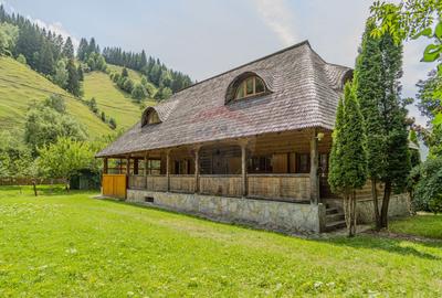 CASA CARAMITRU | POVESTE VIE SI ISTORIE CULTURALA | MOIECIU DE SUS - 3