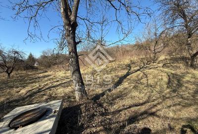 Teren 3341 mp Valea Budacului - 1