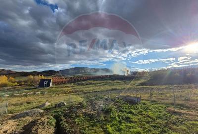 Vanzare Casa A-Frame 3 camere I Constructie 2025 - 8